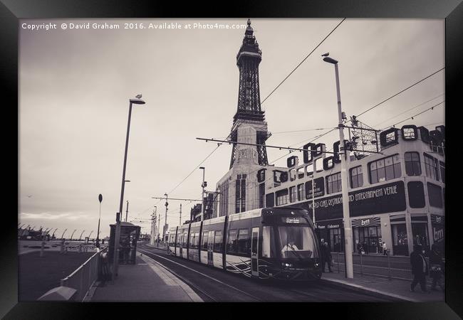 Tram at Blackpool Tower Tram stop Framed Print by David Graham
