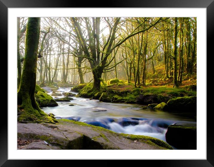 Spring at Golitha Falls Framed Mounted Print by Dave Bell