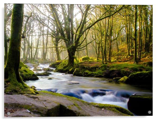 Spring at Golitha Falls Acrylic by Dave Bell