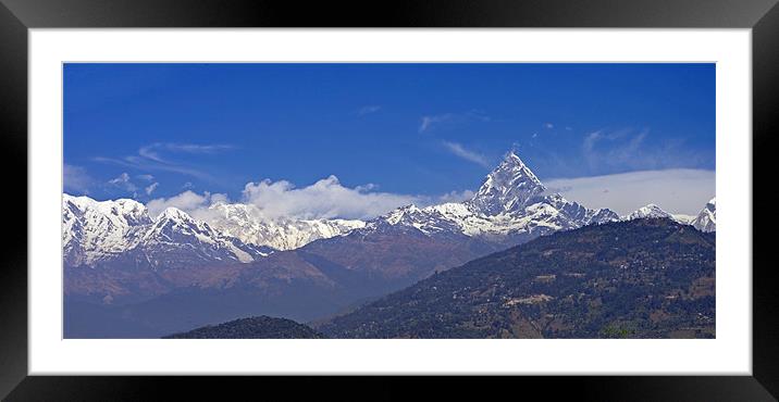 Annapurna South and Machupuchare Framed Mounted Print by Jacqi Elmslie