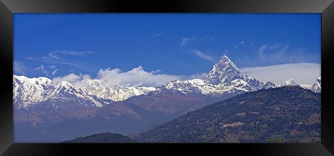 Annapurna South and Machupuchare Framed Print by Jacqi Elmslie