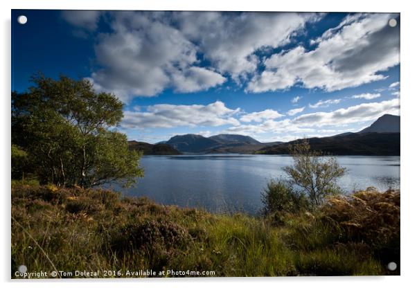 A Loch Glendhu scene Acrylic by Tom Dolezal