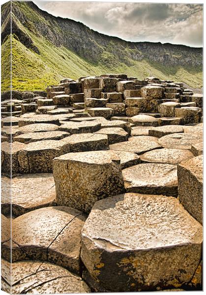 Stepping Stones Canvas Print by Darren Smith