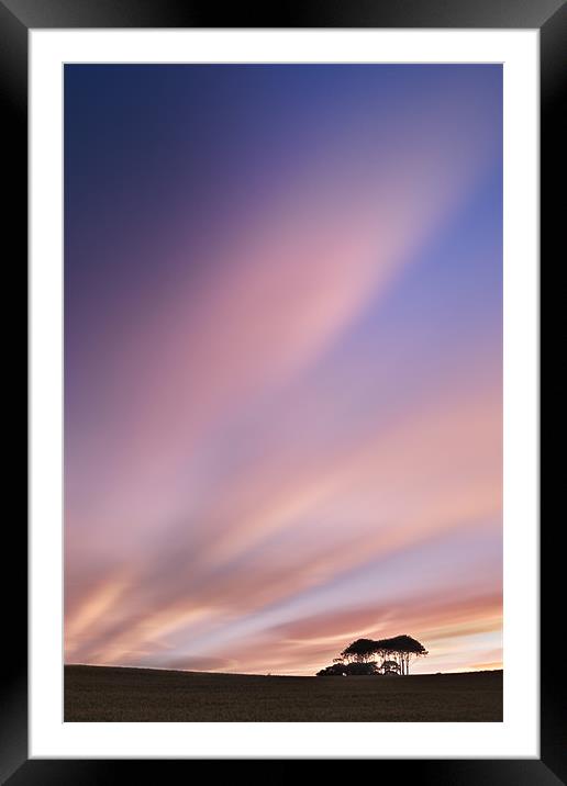Sunset at the Copse Framed Mounted Print by David Lewins (LRPS)