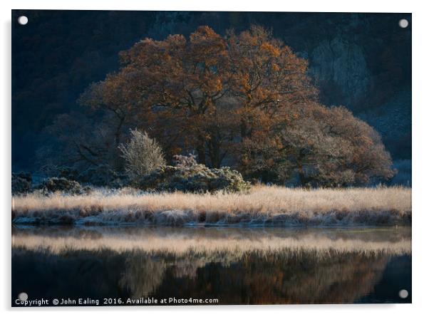 Frosty Morning Acrylic by John Ealing