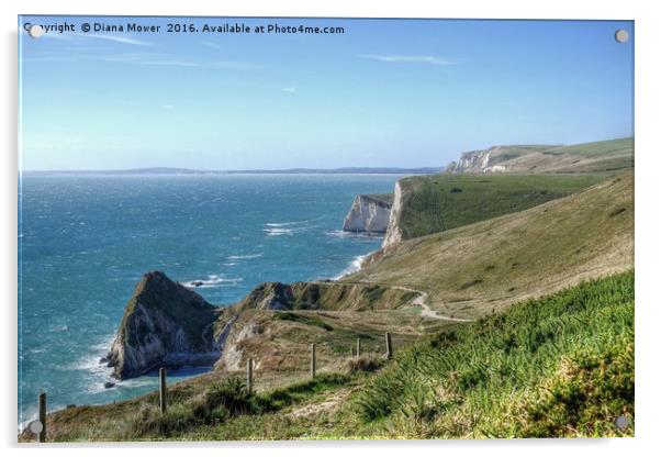 The South West Coast path  Dorset. Acrylic by Diana Mower