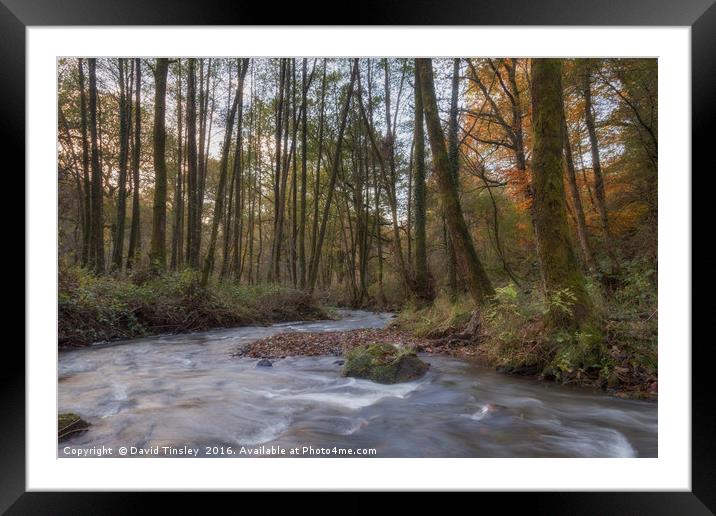 Winter along the Brook Framed Mounted Print by David Tinsley