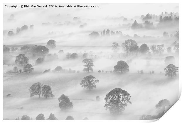 Knitting Fog, Latrigg in the UK Lake District (B&W Print by Phil MacDonald
