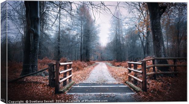 Forest Path Canvas Print by Svetlana Sewell