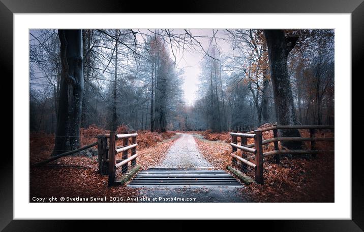 Forest Path Framed Mounted Print by Svetlana Sewell