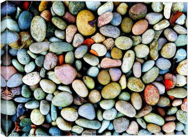 Pebbles Canvas Print by Colin MacLeod