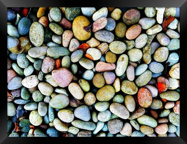 Pebbles Framed Print by Colin MacLeod