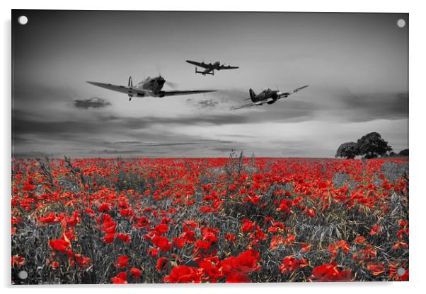 RAF Greats Acrylic by J Biggadike