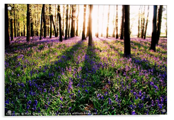Enchanting Bluebell Forest Acrylic by Mark Greenwood