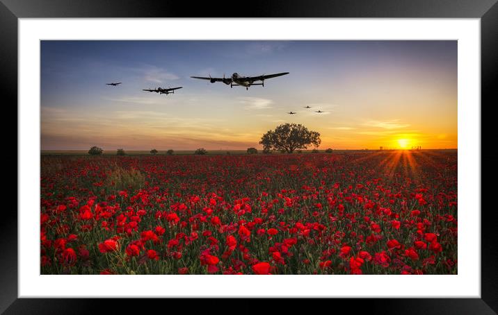 One For All Framed Mounted Print by J Biggadike