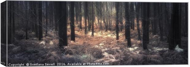 Forest Fern Canvas Print by Svetlana Sewell