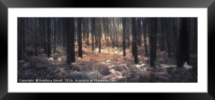 Forest Fern Framed Mounted Print by Svetlana Sewell