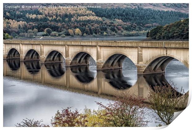 Autumn at Lady Bower Print by nye whittaker