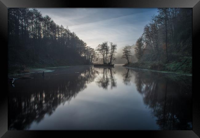 Reflections of a tree at Penllergaer woods. Framed Print by Bryn Morgan