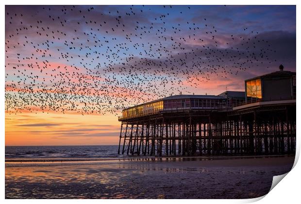 Starling Murmation at North Pier, Blackpool Print by Phil Clayton