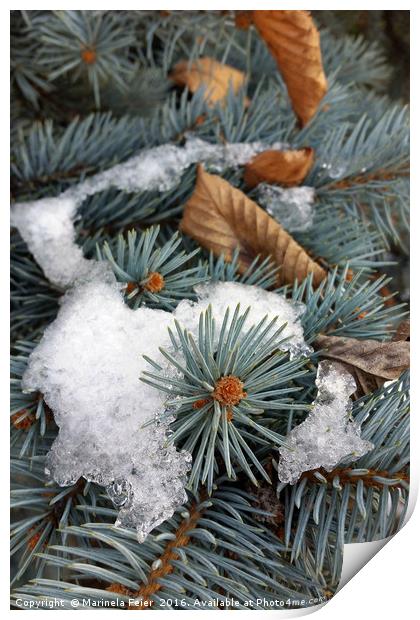 patch of snow Print by Marinela Feier
