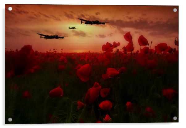 Over The poppy Fields Acrylic by J Biggadike