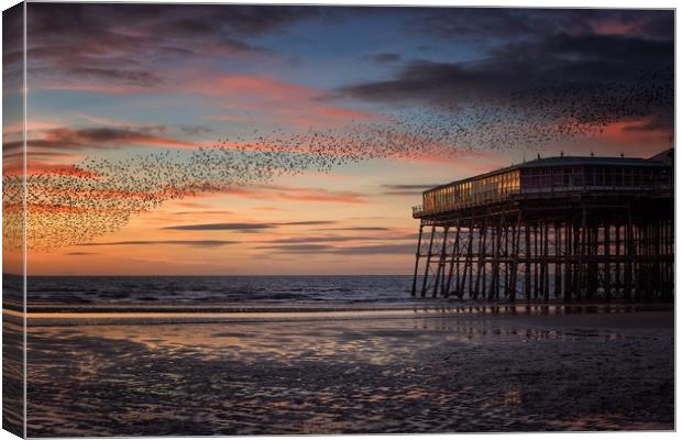Murmation of Starlings at Blackpool Canvas Print by Phil Clayton