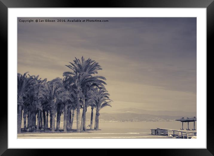 Palm trees on the shore in Torremolinos, Spain Framed Mounted Print by Ian Gibson