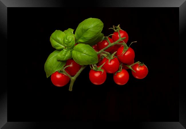 Plum Cherry Tomatoes Basil Framed Print by David French