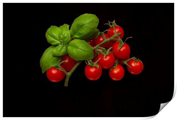 Plum Cherry Tomatoes Basil Print by David French