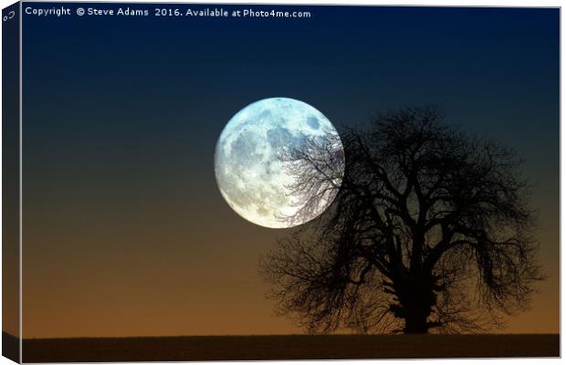 Moonrise Canvas Print by Steve Adams
