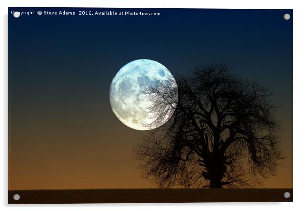 Moonrise Acrylic by Steve Adams