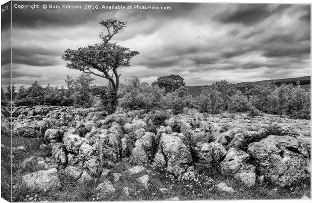 Moody Skies Over the Limestone Pavement Canvas Print by Gary Kenyon
