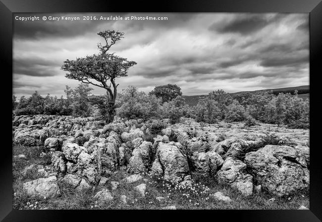 Moody Skies Over the Limestone Pavement Framed Print by Gary Kenyon