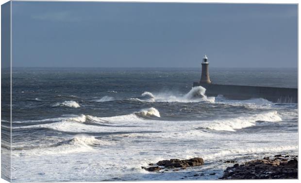 Stormy Weather, Whitley Bay, England Canvas Print by Dave Collins