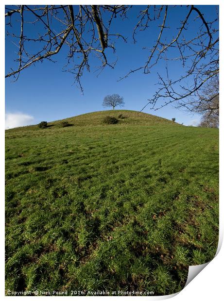 A View of Burrow Hill Print by Nick Pound