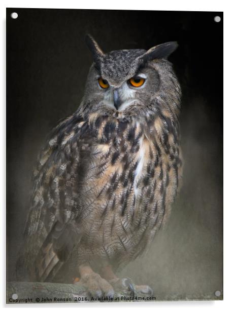 Eurasian Eagle Owl Acrylic by JOHN RONSON