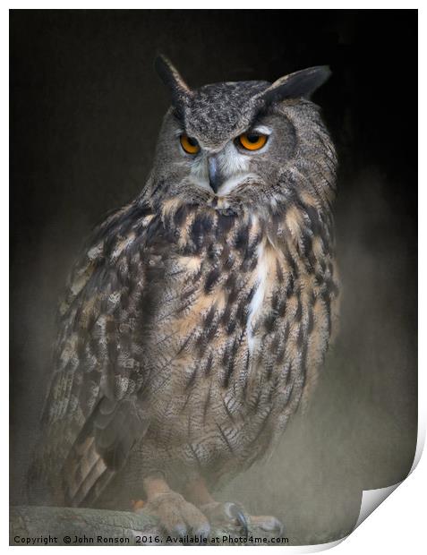 Eurasian Eagle Owl Print by JOHN RONSON