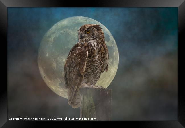 The Owl & the Moon Framed Print by JOHN RONSON