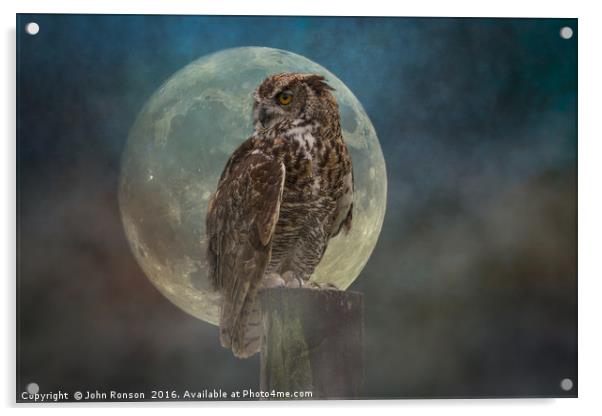 The Owl & the Moon Acrylic by JOHN RONSON