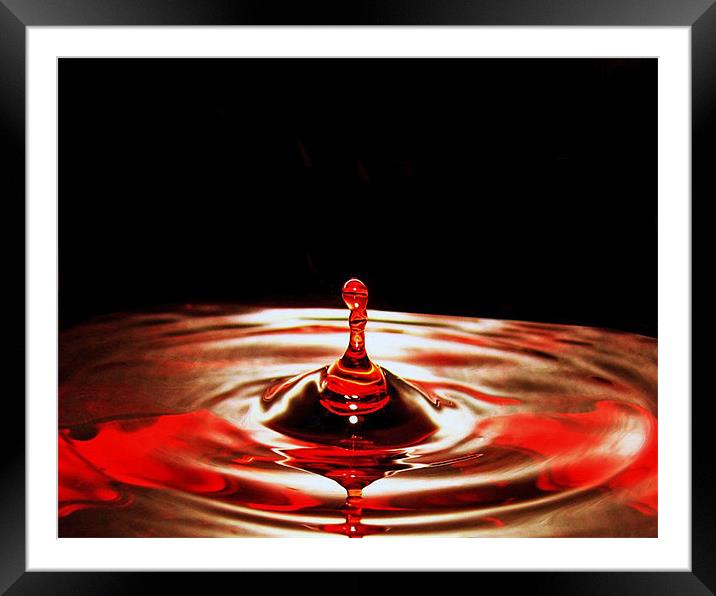 Water Droplet Framed Mounted Print by paulette hurley