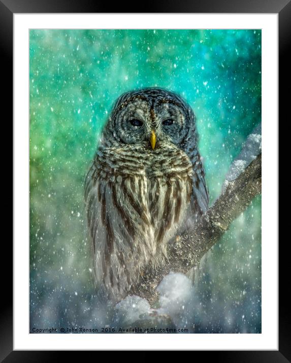 The Owl and the Storm Framed Mounted Print by JOHN RONSON