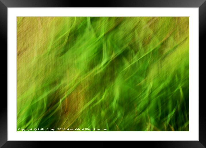 Wild Grass Framed Mounted Print by Philip Gough