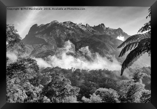 Kota Kinabalu (Mount Kinabalu), Borneo (Land Below Framed Print by Phil MacDonald