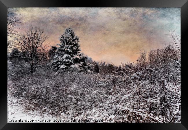 Winter's Glow Framed Print by JOHN RONSON