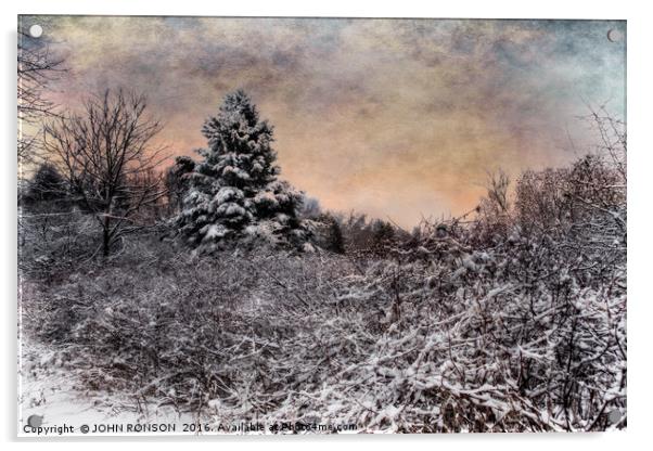 Winter's Glow Acrylic by JOHN RONSON