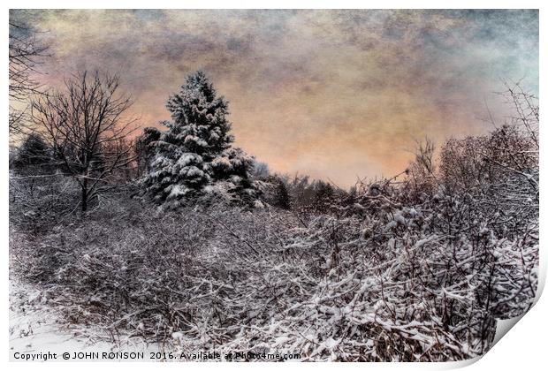 Winter's Glow Print by JOHN RONSON
