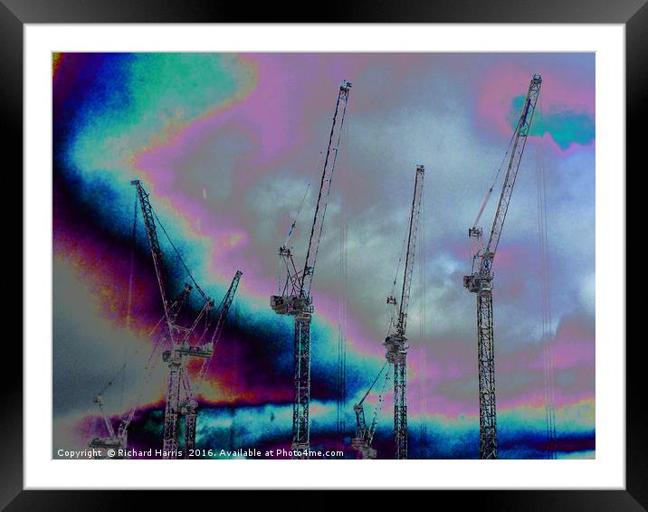 Sea of cranes Framed Mounted Print by Richard Harris