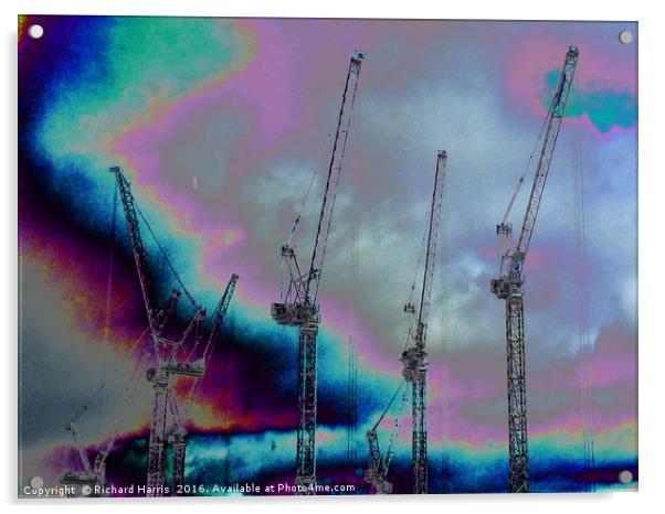 Sea of cranes Acrylic by Richard Harris