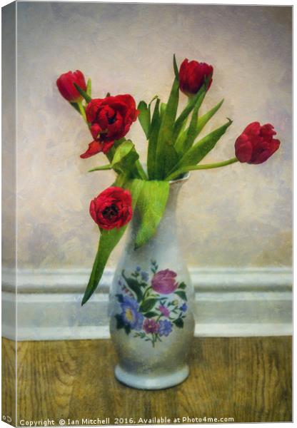 Tulip Love Canvas Print by Ian Mitchell